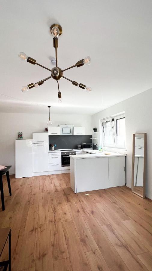 2 Zkb Apartment In Mannheim Kueche - Parken - Grosser Tv Ngoại thất bức ảnh